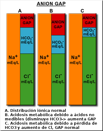 justtmar's tweet photo. Preg 141. El anión GAP aumentado habla de "ácidos intrusos" (ác.láctico, cetoácidos, alcoholes).  Si pierdes HCO3- por las heces, tu riñón debería reabsorber Cl- respondiendo a esa pérdida. El mejor libro del mundo te lo explica más allá de un tweet. 
¿✅? Aquí no dudo, es la 2. https://t.co/pyDoD8iPF5