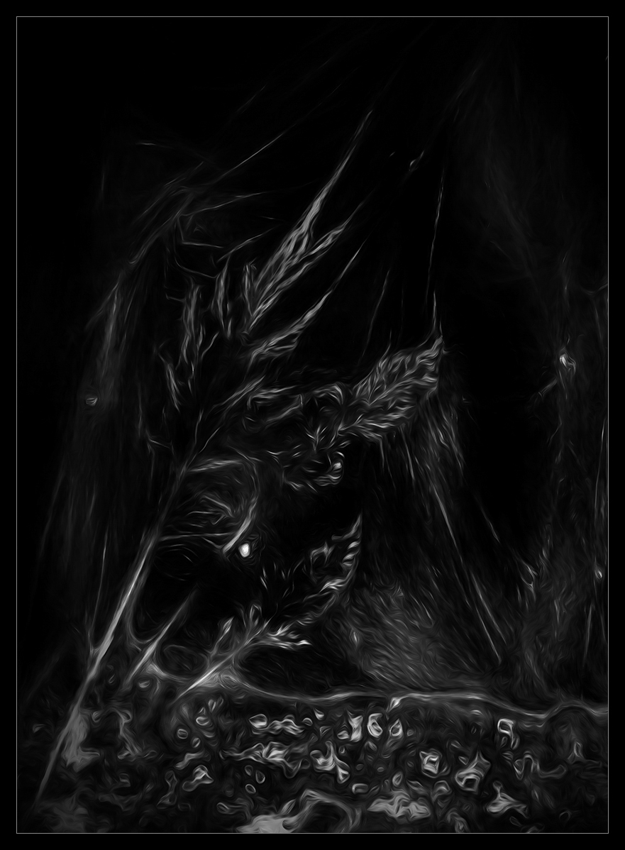inspired0images's tweet photo. Wispy growth of grasses - Enjoy,.!
Edited cyanotype
#Cyanotype
#Editedcyanotype
#Monochrome
#Grass https://t.co/v7YuKnXSdX