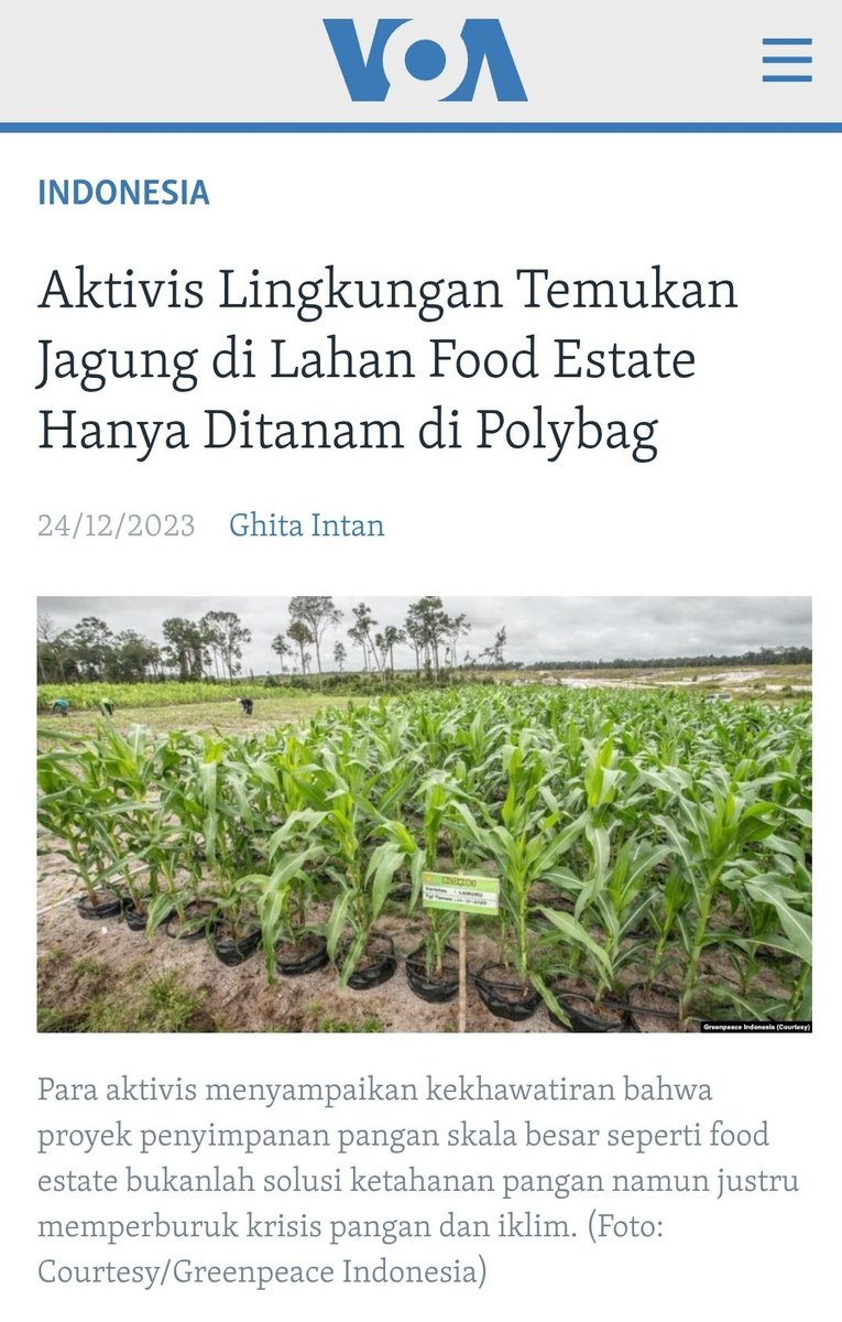 Box2boxID's tweet photo. Food estate di Gunung Mas, Kalteng: https://t.co/dTsexAaonO