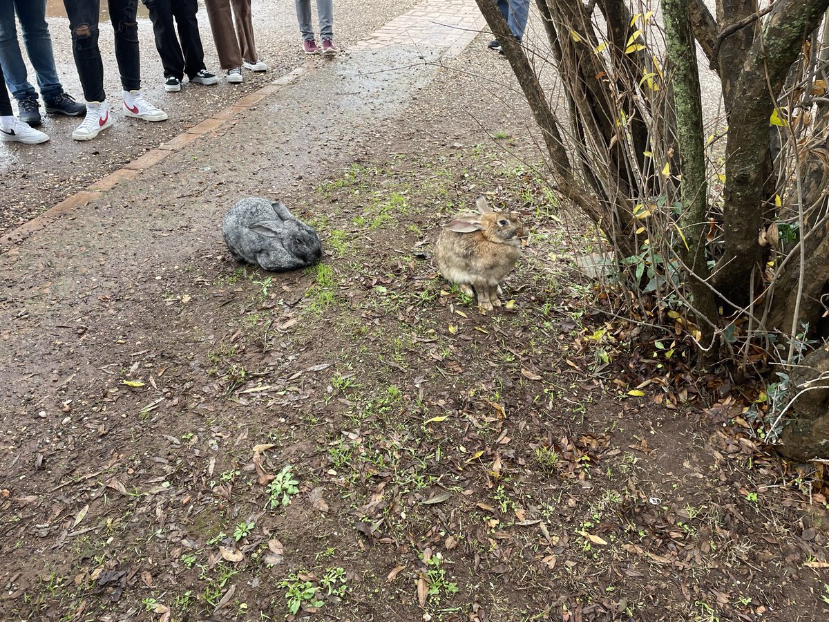 _lauradeelgado's tweet photo. @estheretrella adjunto foto https://t.co/bn9LSKObZY