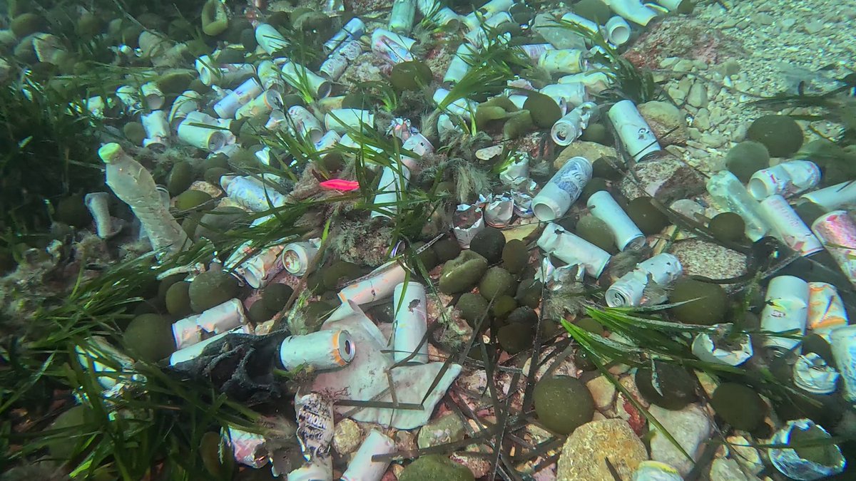 Karim Saari | Dark Massilia tweet media