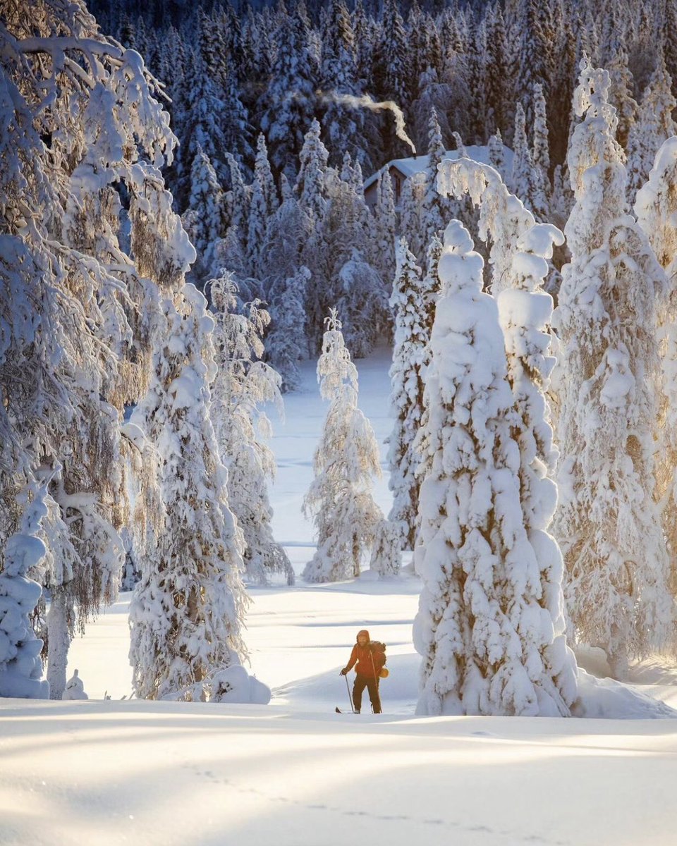 It’s #WorldSnowDay and we love it. 📷 taigapic swedishlapland | ig