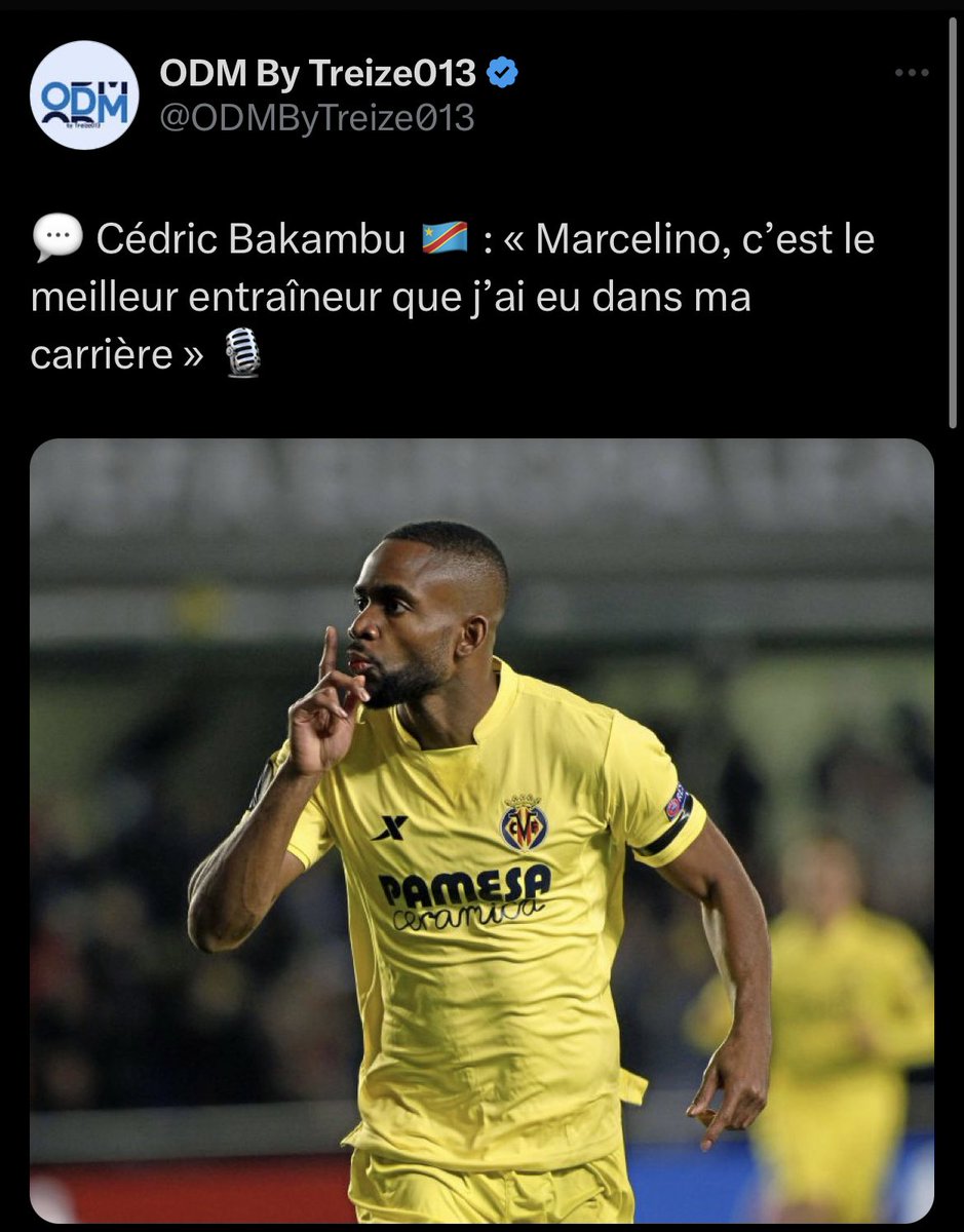 🇲🇦 tweet media