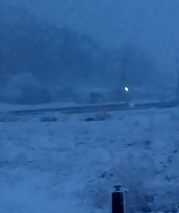 苦しい苦しいと捩れた何も無い胃袋に言葉を放り込むことしか出来ない
優しい甘さの蜂蜜と緩やかな暖かい水を飲むことしか許されない
明日のための夕食は希望の無い繰り返しかもしれなくて
わたしのための朝食は一日を動かすための栄養なのか
油断の無い身体と裏腹な声
「口福の詩」