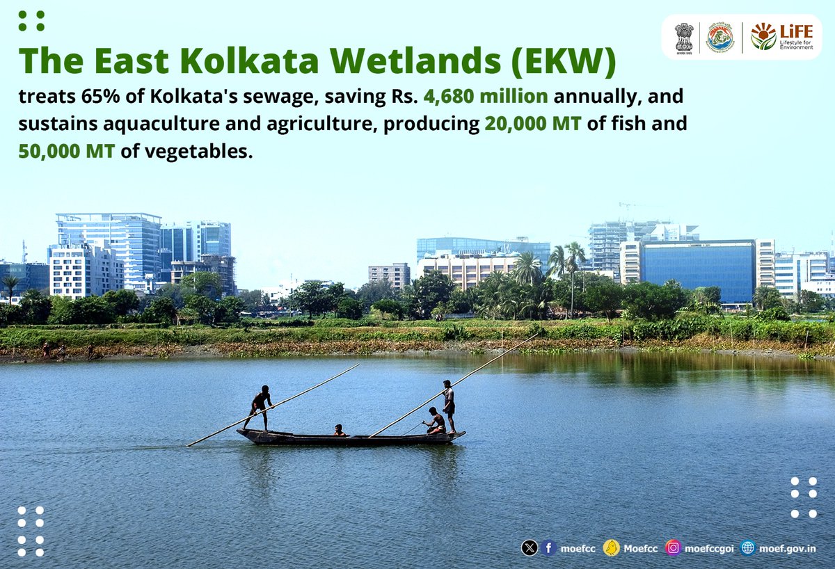 Discovering India's Ramsar Sites 🦢 Day 16 : The East Kolkata Wetlands From wetlands to wildlife, each site is a unique haven for nature. Let's celebrate and safeguard these vital ecosystems together! #RamsarSites #WorldWetlandsDay #WetlandsAndHumanWellbeing #MissionLiFE