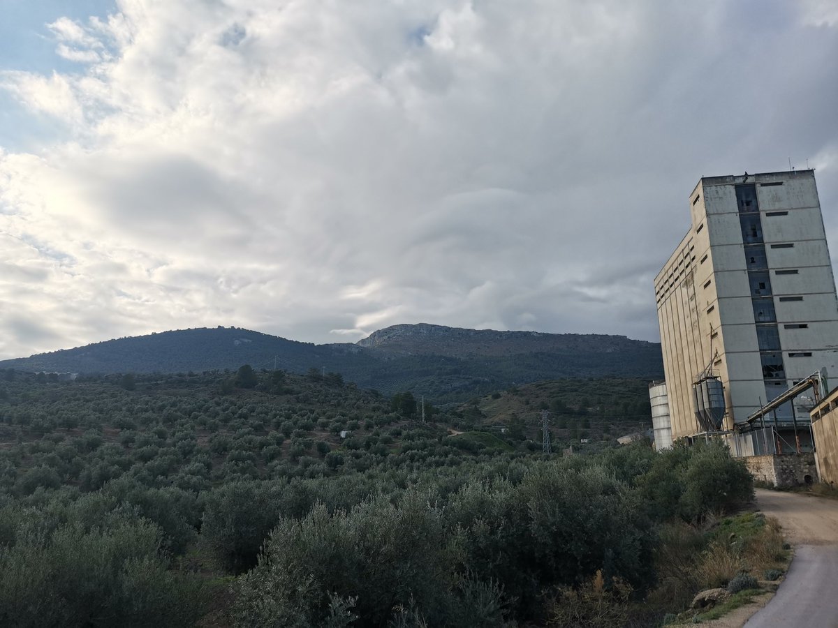 mdavilavm's tweet photo. Tempraneo muy especial, esquivando el barro, disfrutando de los olores, los paisajes, la suerte que tenemos en #Jaén de todo esto a tiro de pata. #PiesPaQueOsQuiero #PuesPaEstasCosicas #SillyWalks #SillyFatherAndSon #15kmDescubriendo #Neveral #SantaCatalina #JaenParaisoInterior https://t.co/0e9ss0d8ht
