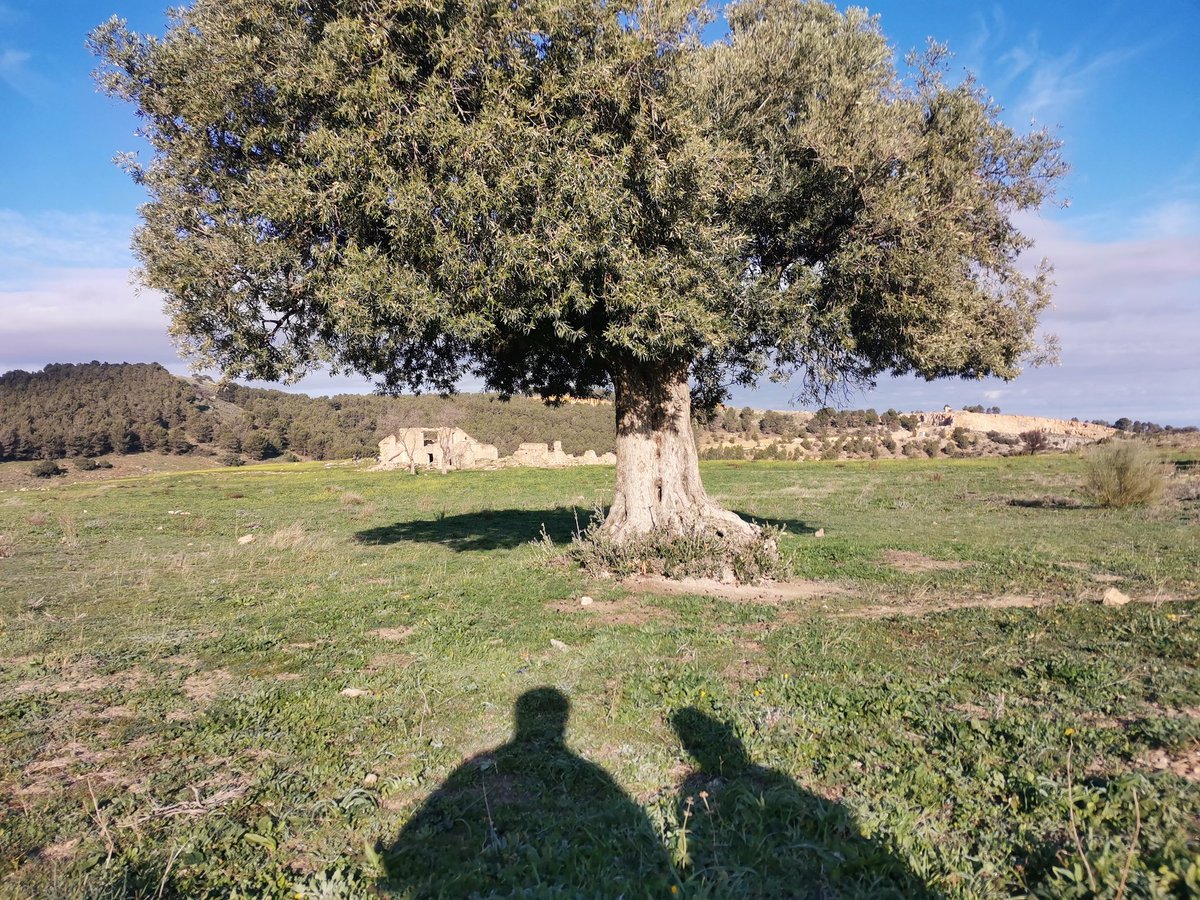 mdavilavm's tweet photo. Tempraneo muy especial, esquivando el barro, disfrutando de los olores, los paisajes, la suerte que tenemos en #Jaén de todo esto a tiro de pata. #PiesPaQueOsQuiero #PuesPaEstasCosicas #SillyWalks #SillyFatherAndSon #15kmDescubriendo #Neveral #SantaCatalina #JaenParaisoInterior https://t.co/0e9ss0d8ht