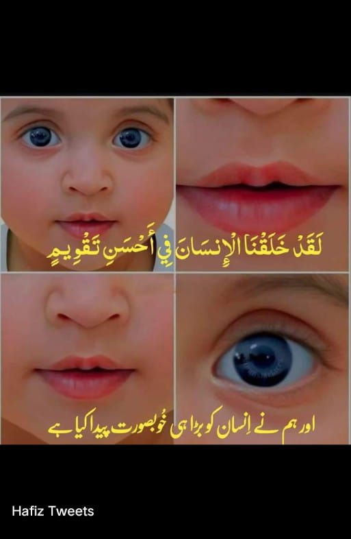 Bilal143K's tweet photo. https://t.co/HUjAkZ5927