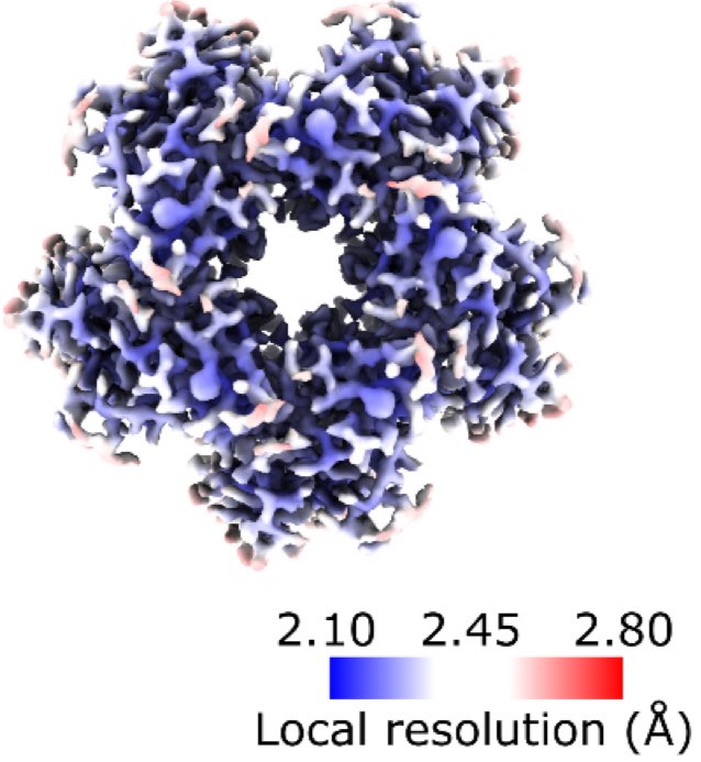 Kirill Kovalev (@kirkovalev94) on Twitter photo Such a great instrument, worked perfectly for KR2 #rhodopsin🥳Congratulations to the authors, and of course especially <a href="/PappTeam/">Papp Team - EMBL GR Instrumentation</a> at <a href="/EMBLGrenoble/">EMBL Grenoble</a> 👏🏻 Such a great instrument, worked perfectly for KR2 #rhodopsin🥳Congratulations to the authors, and of course especially <a href="/PappTeam/">Papp Team - EMBL GR Instrumentation</a> at <a href="/EMBLGrenoble/">EMBL Grenoble</a> 👏🏻