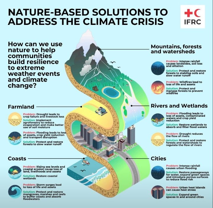 🌳🌳Forest conservation play a crucial role in addressing climate crisis. 
Let's protect and restore our forests. 

🤝Thank you <a href="/ifrc/">IFRC</a> for sharing this.