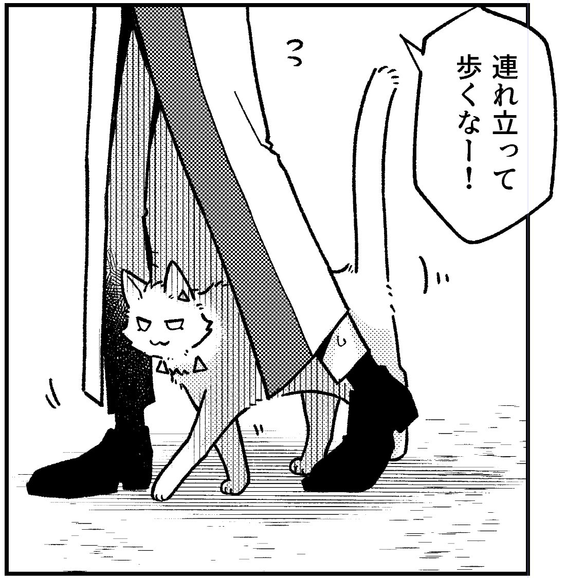 ゴキゲンキャットのチンアナゴしっぽ=^・ω・^= 