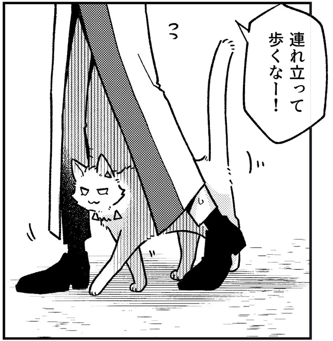 ゴキゲンキャットのチンアナゴしっぽ=^・ω・^= 