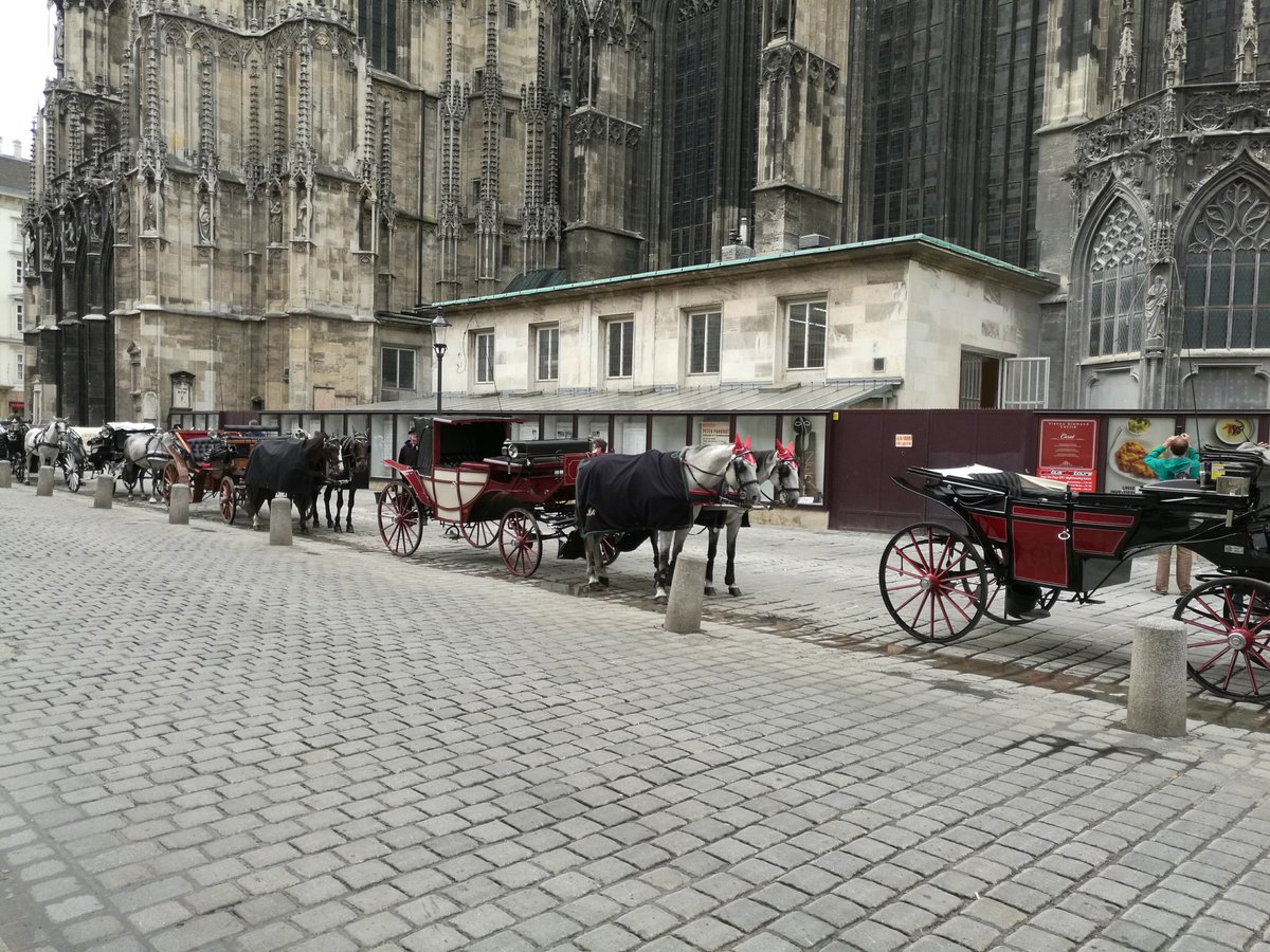Com'è delizioso andar...

youtu.be/iCkCaLwRBMo?si…

📷my pic Vienna