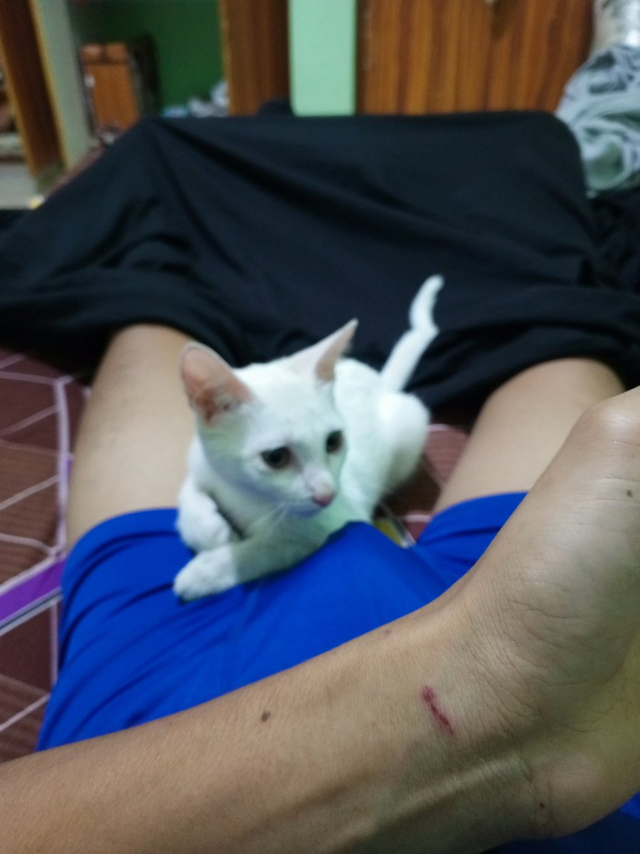 Dada Joel & Markus tweet media