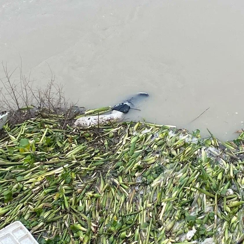 Hatay'ın Reyhanlı ilçesinde de su kanalında 3 ceset bulundu.
