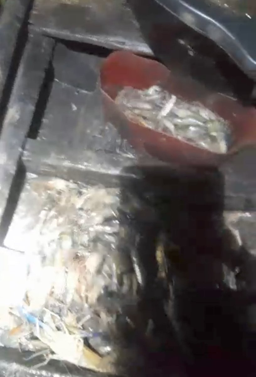 BudiantoSpi's tweet photo. Sabtu (20/01/24), Budianto, Luhkan Indragiri Hilir, KUB Belat Pantai Kel. Sei. Perak,  Melaporkan tangkapan, Udang Galah dgn alat tangkap Belat Pantai sebanyak 7.5 kg harga Rp. 80.000/kg
#GiatLuhkanSatminkalMedan #Inhil #Tangkap
@bppsdm_bp3medan
@puslatluhkp
@bppsdm_kp https://t.co/8LLhZaX2V1
