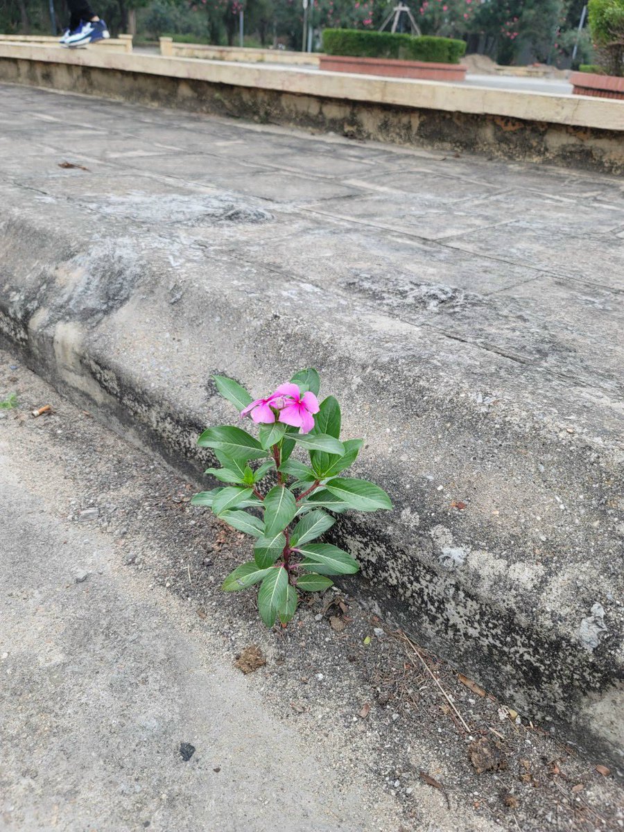 ℍ𝕋ℂ ℍ𝕠𝕦𝕤𝕖™ tweet media