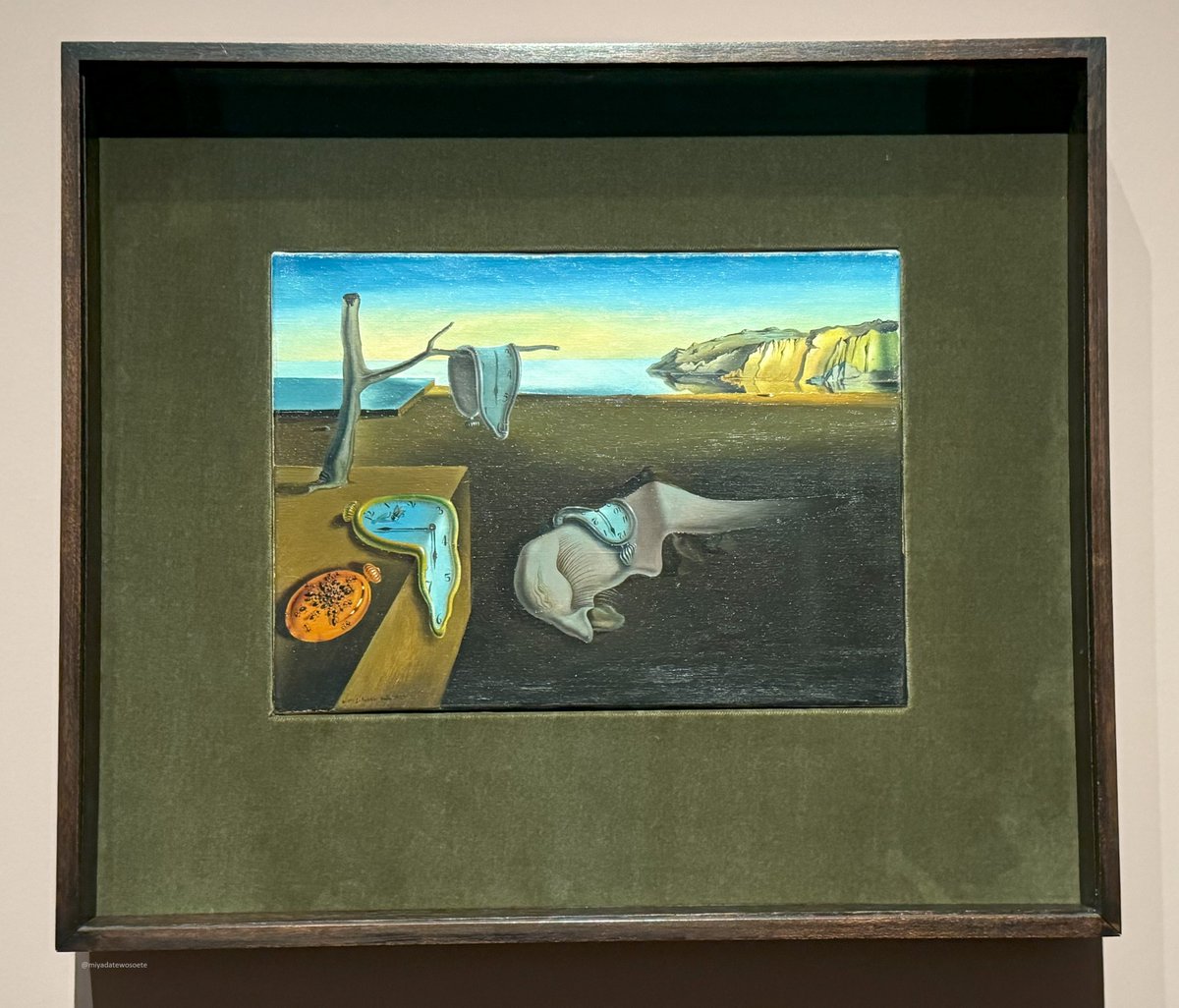 記憶の固執 に #宮舘を添えて #TheMuseumofModernArt #MOMA