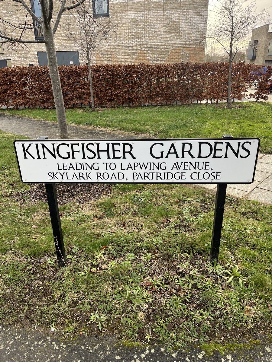 I’m very much not on principle opposed to new housing developments on city-fringe former farmland… …but naming the streets after the very bird species displaced by the development feels like a chef’s-kiss of disdain, a post-pastoral f*ck-you. Is this widespread?
