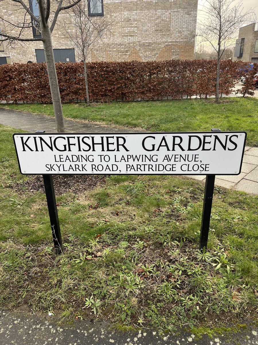 I’m very much not on principle opposed to new housing developments on city-fringe former farmland…
…but naming the streets after the very bird species displaced by the development feels like a chef’s-kiss of disdain, a post-pastoral f*ck-you.
Is this widespread?