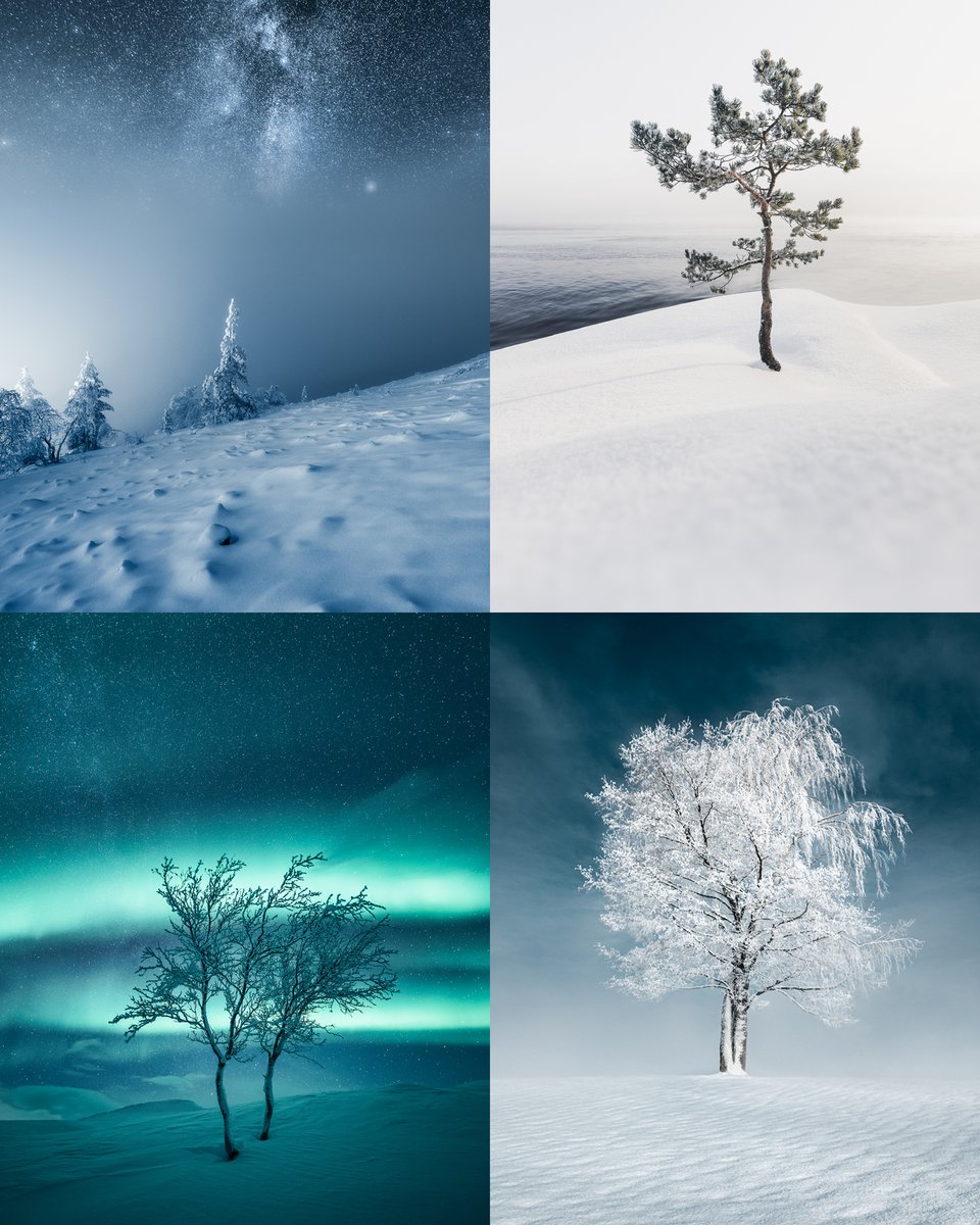 MikkoLagerstedt's tweet photo. Resilience https://t.co/LIIvVxKrC3