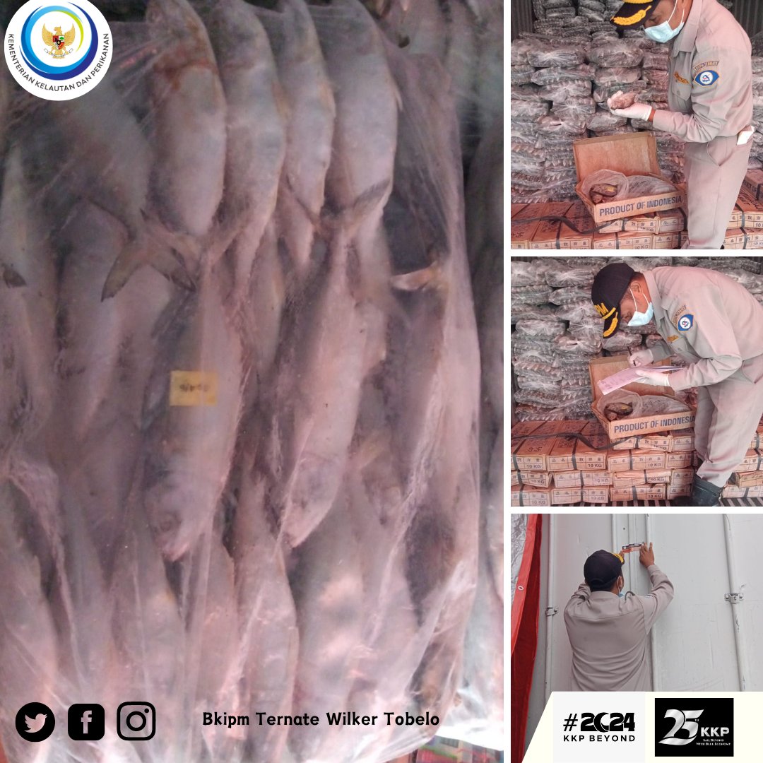 Hai #sahabatquarantine, 21 Januari 2024 Pejabat Karantina Ikan melakukan pemeriksaan fisik bagi komoditi perikanan yang akan dilalulintaskan tujuan Surabaya #MENTERIKKP #SAKTIWAHYUTRENGGONO #KKPGOID #KKPBeyond