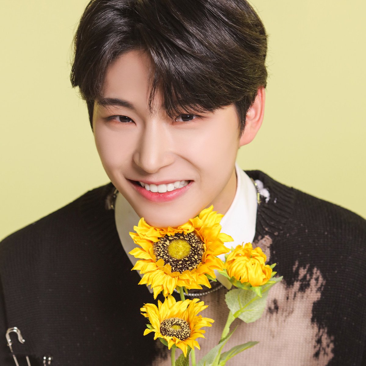 omizuhaoishii's tweet photo. @MnetKR V39 김민서 화이팅!!🦖🌻💛💛💛💛💛

#빌드업 #V39
#김민서 #KimMinseo #キムミンソ https://t.co/kueA1FQZNa