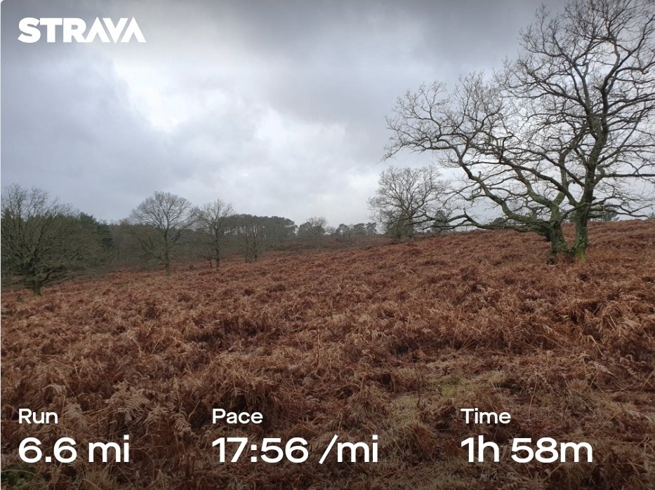 ZhepzyMudRunner's tweet image. A tough one this morning!
#TWC #TwittaWinterChallenge #SonicWinterSprinters