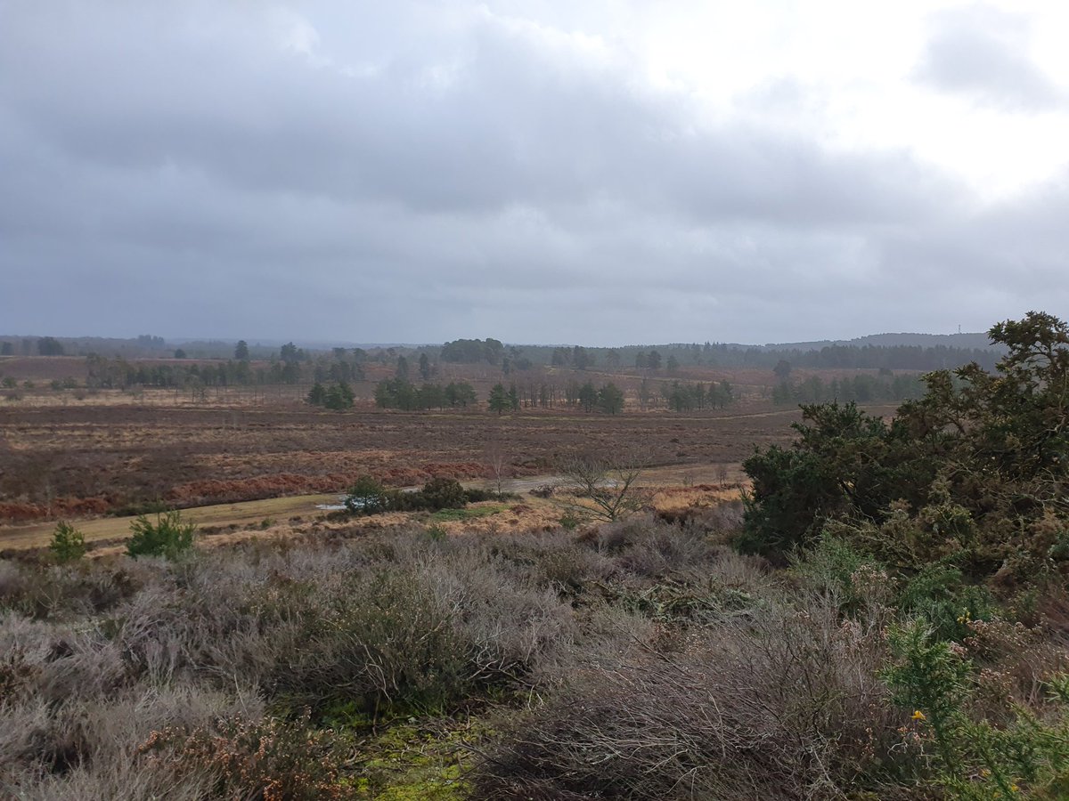 ZhepzyMudRunner's tweet image. A tough one this morning!
#TWC #TwittaWinterChallenge #SonicWinterSprinters