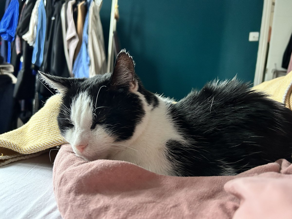 hello am back might try and post more but its cold and my schedule is filled with NAPPING