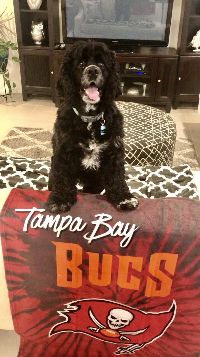 I’m very excited for todays Bucs Game! Let’s go into the Motor City and race off with a Win, and then off to SF for Baker & the Boys❤️🏈🏴‍☠️ #dogsofx #dogsoftwitter #RaiseTheFlags #TBvsDET #GoBucs #TeamTampaBay #NFLPlayoffs #TBBucs @Buccaneers #NFL