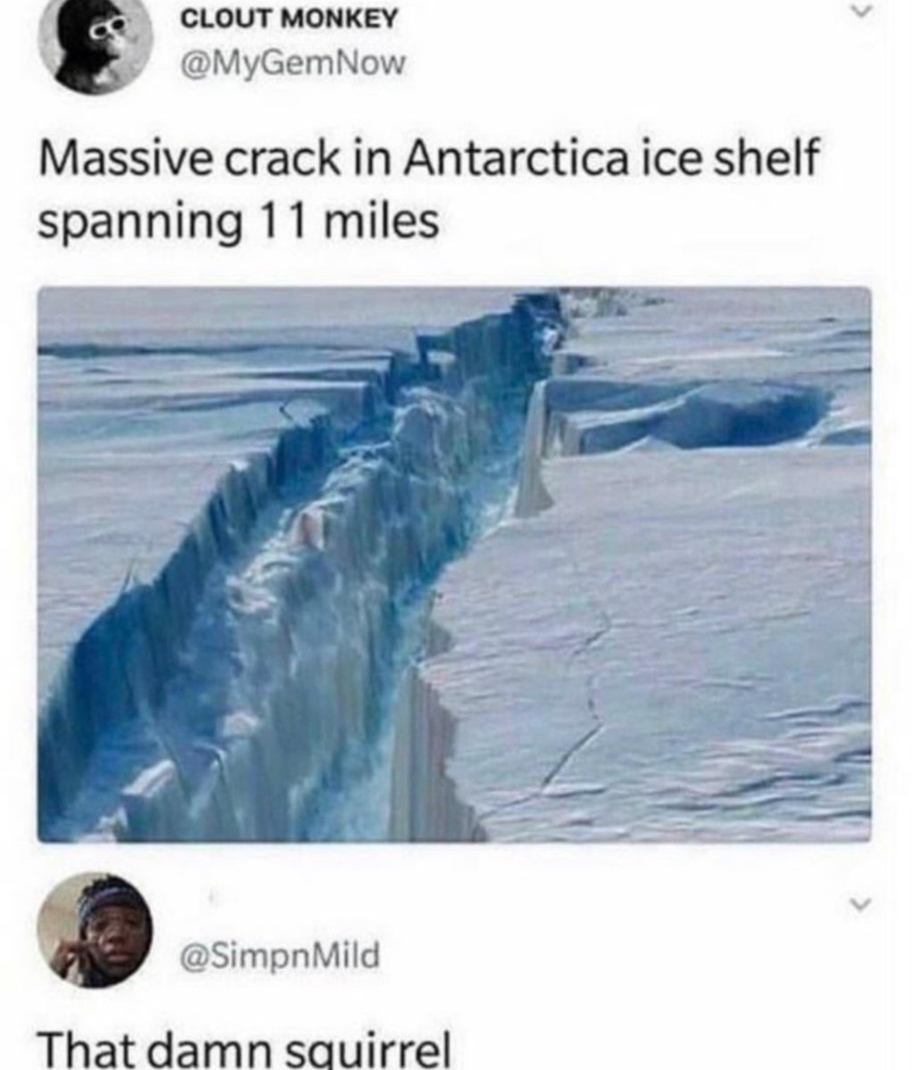 InternetH0F's tweet image. 