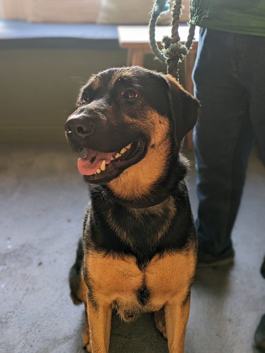 Declan Connolly 🇮🇪🇵🇸 tweet media