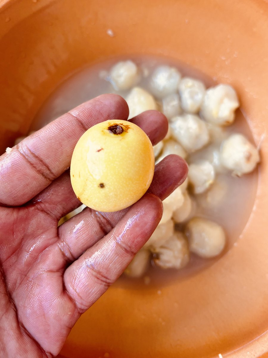 Dimpho_Seisa's tweet photo. Nnyaa mme re simolotse but let's make a cocktail ya Morula for you guys #ThePeople #MutualMunchies @The_Cookoff https://t.co/UikV6wnD8f