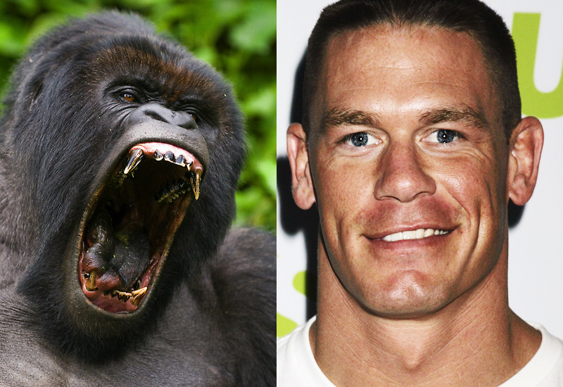 TickerJUPSOL's tweet photo. THE UGANDANS HAVE SPOKEN

JOHN CENA WILL BEAT #HARAMBE IN A WWE SMACK DOWN!

#JohnCenaUgandaPepe69 $JUP https://t.co/y5Cm8e4Y6H