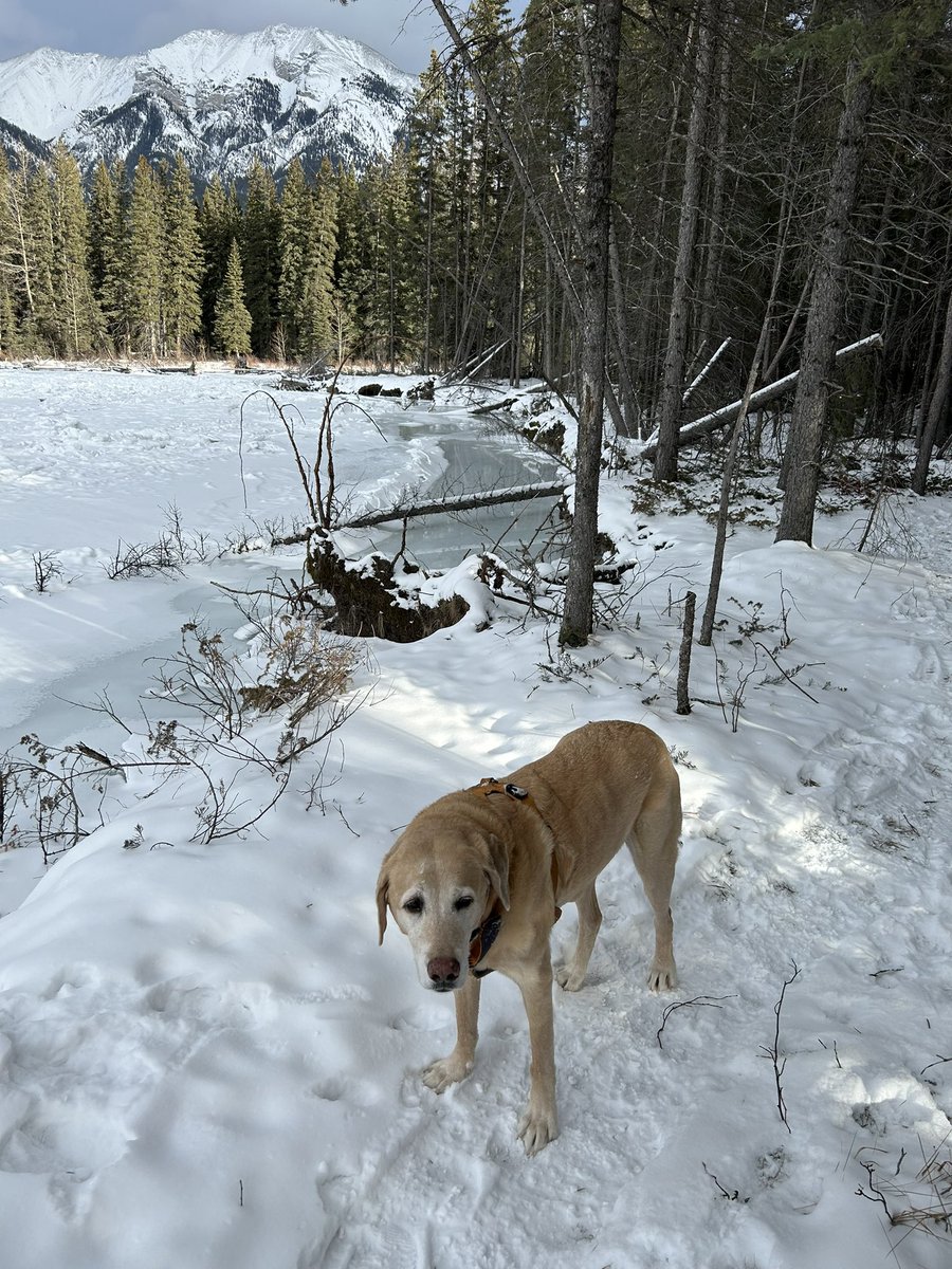 mrpeeeeenut's tweet image. #GoodTwitter and a nice walk reminded me today of the many things that I appreciate. Thank you!