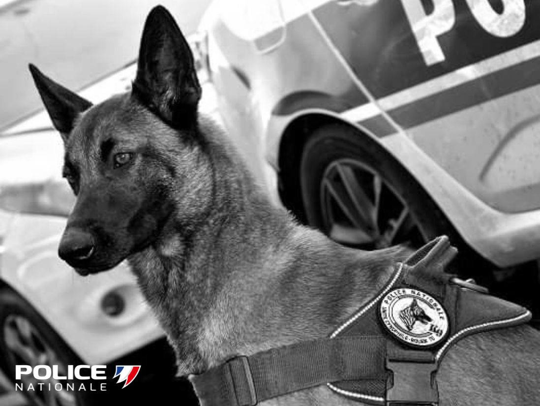 Police nationale 76 tweet media