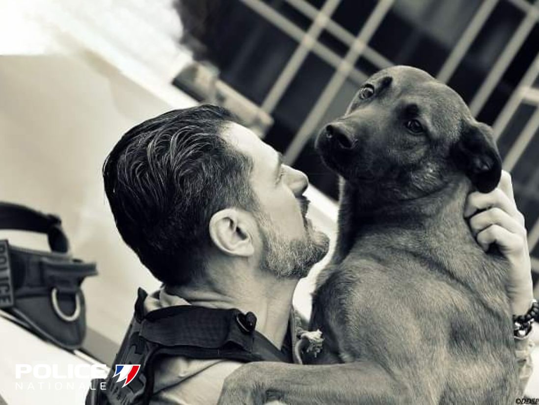 Police nationale 76 tweet media