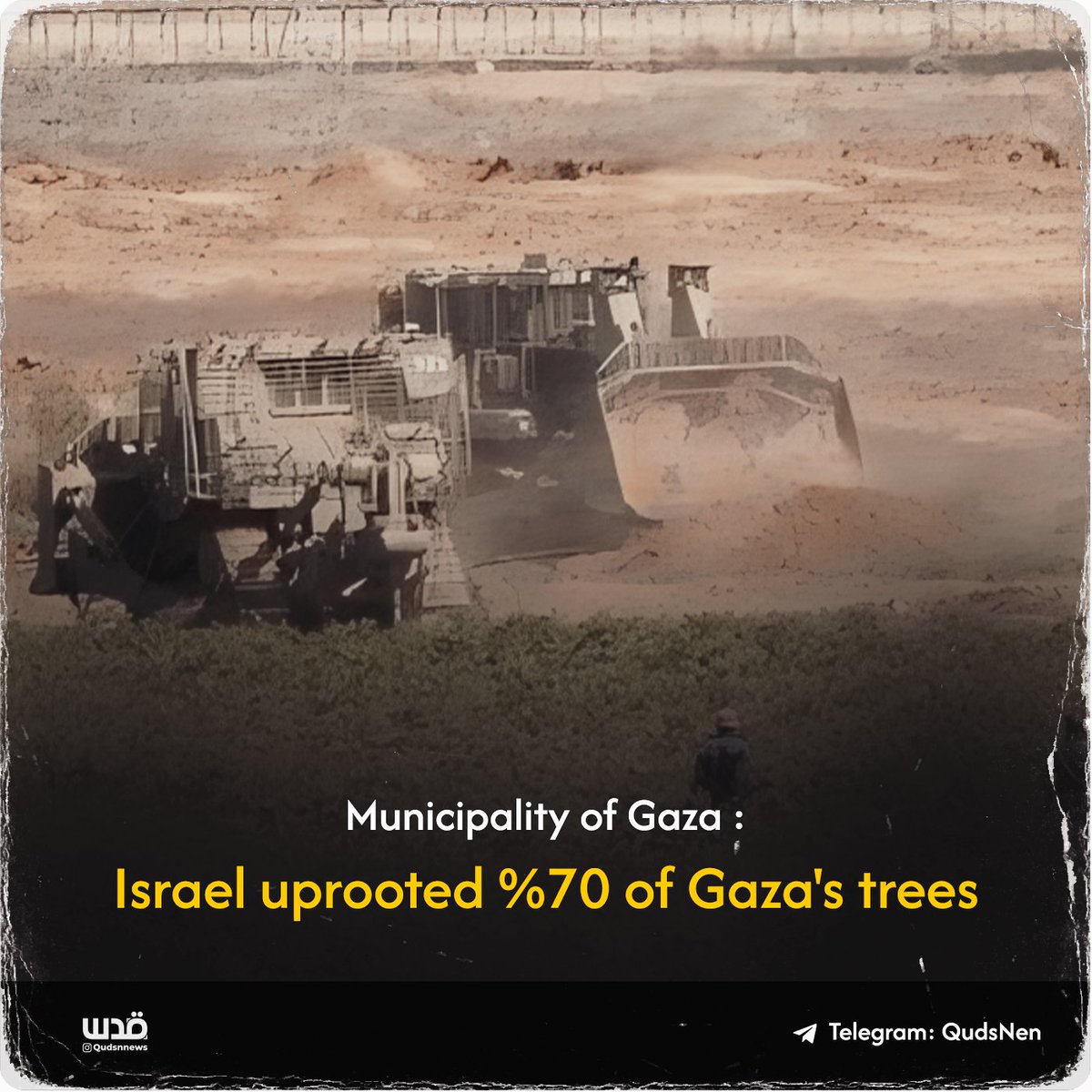 QudsNen's tweet photo. Gaza municipality: Israel's military uprooted 70% of Gaza's trees and bulldozed thousands of dunums of agricultural land in Gaza. https://t.co/xWvPU5VwMC