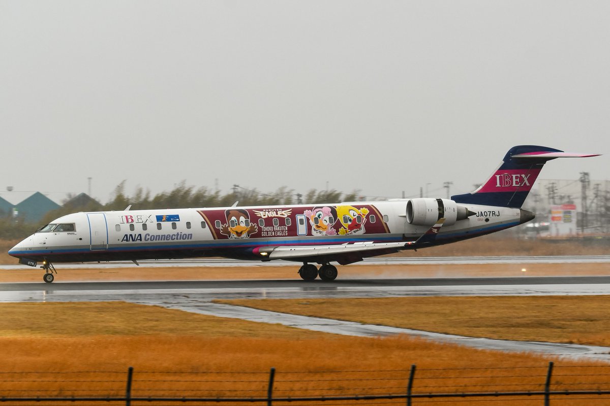 SuKuym8XeXh57DO's tweet photo. 2024.1/21 RJSS/SDJ
IBEX Airlines•CRJ-702ER•JA14RJ,JA07RJ
Peach•A320-251N•JA214P
Peach•A320-214•JA821P
#仙台空港 #RJSS #JA14RJ #JA07RJ #JA214P #JA821P https://t.co/7N7HHRe6Kb
