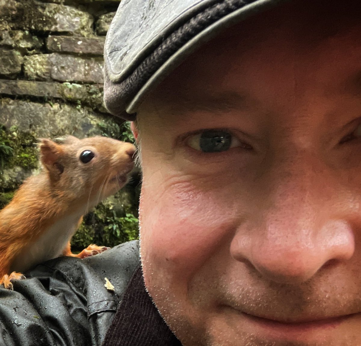 terrybnd's tweet image. #RedSquirrel2024 #RedSquirrelAppreciationDay The best selfie I’ve ever taken I reckon! 🥰🐿️ I was enjoying a brew whilst looking at my phone with this precious red cutie jumped upon my hat then shoulder! #lakedistrict