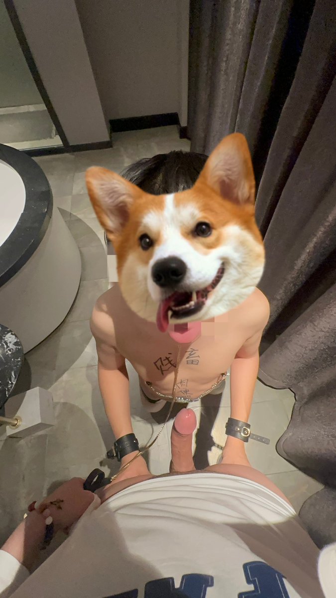 古哼哼 tweet media