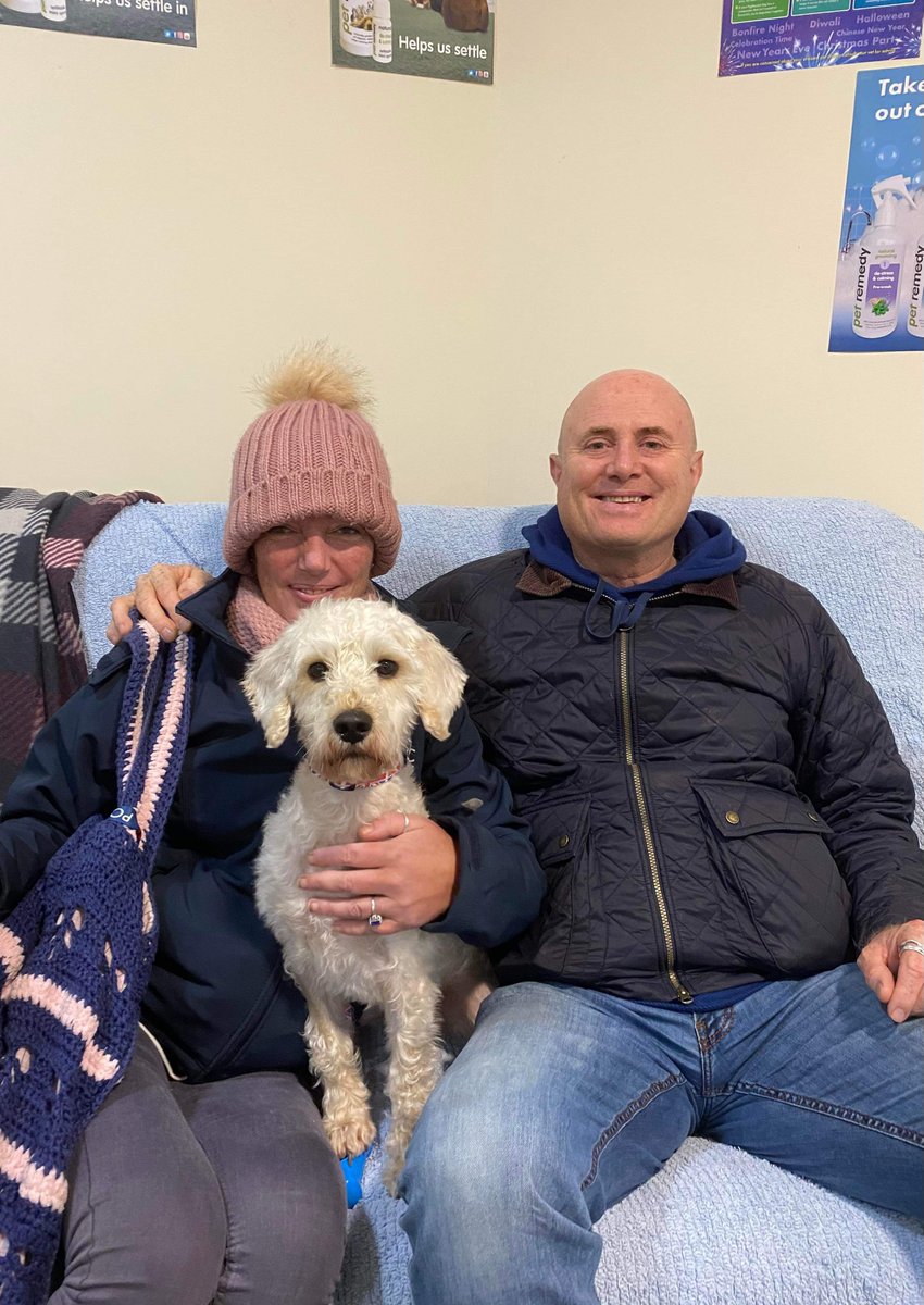 FerneAnimalSanc's tweet photo. Happy #GotchaDay to the beautiful Beau who recently went to his new home! 🏠 https://t.co/MrtOrTsGUP