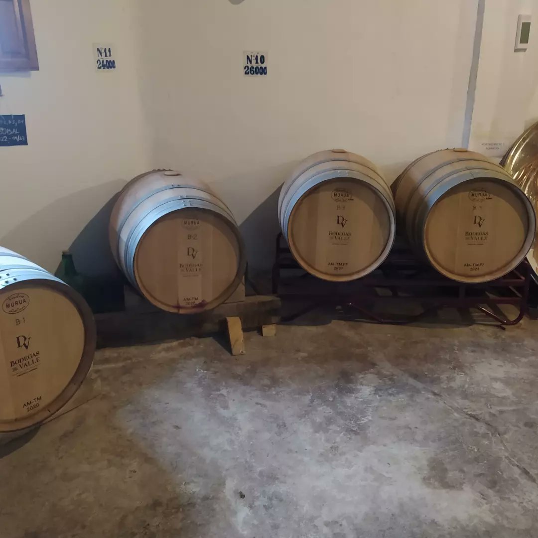 _BruceWine's tweet photo. Fantástica la visita a Bodegas del Valle, todo un esfuerzo por recuperar la bodega familiar y elaboración de vinos artesanales, todo un ejemplo de proyecto con alma @DOUtielRequena https://t.co/c3c2NlWpSI