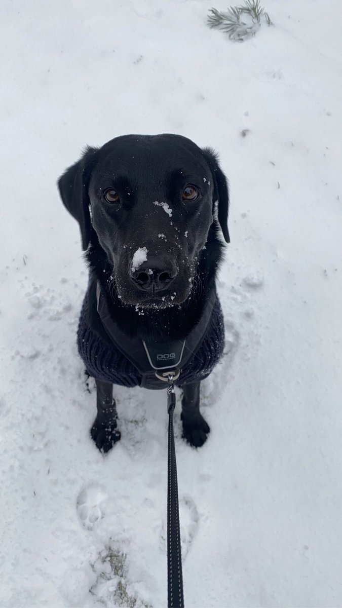 FRiiKKE (@friiikke) on Twitter photo 