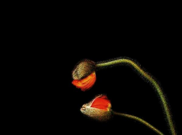 <a href="/beaattrice/">beatrice ripoli</a>  Giro di Global  - b&amp;p 2024