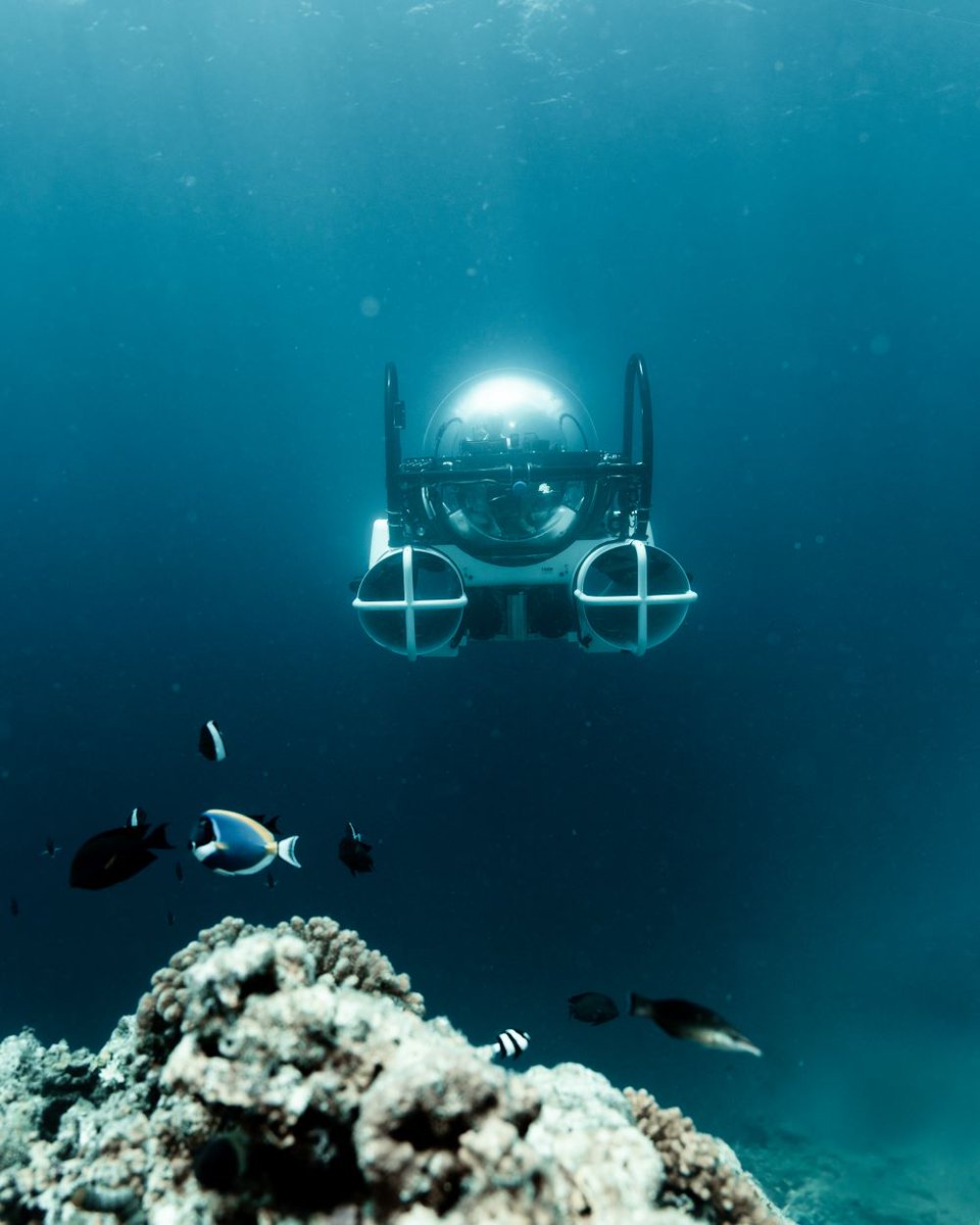 Abtauchen und trocken bleiben! 

Patina Maldives auf den Fari Islands launcht gemeinsam mit Dive Butler International ein tiefgehendes Urlaubserlebnis: das U-Boot Ocean Pearl mit Platz für zwei Personen.

Alle Infos unter: segara.de/patina-maldive…

#malediven #uboot #luxurytravel
