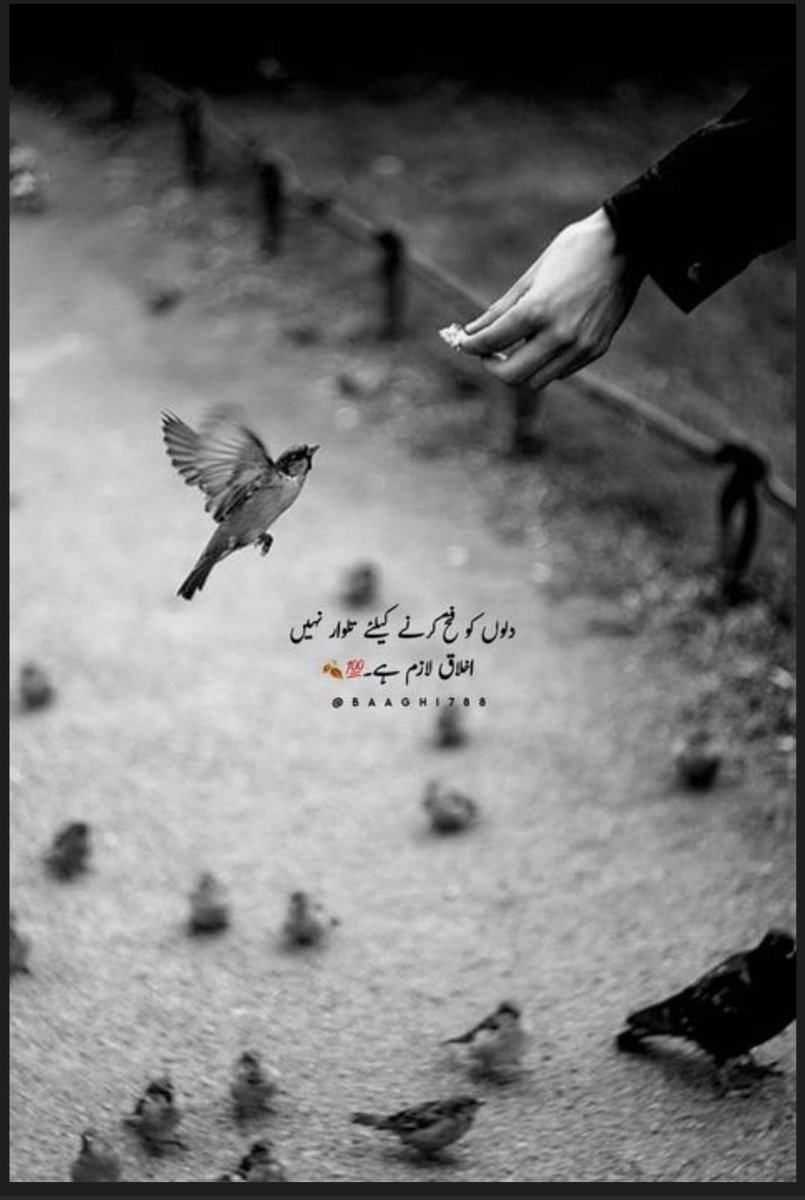 ShahrozAbbasi10's tweet photo. معاملات کی پکڑ عبادات کی پکڑ سے زیادہ سخت ہے https://t.co/1CPmXJgzoA