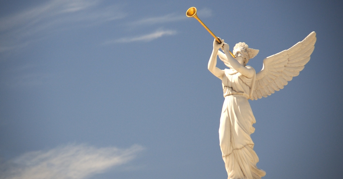 Jack Straw tweet media