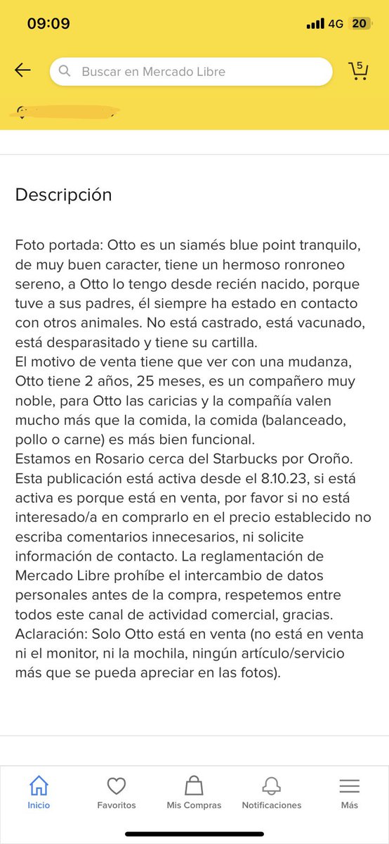 Mica Verón ♚ tweet media